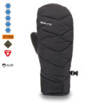 Dakine Gloves TUNDRA Gore-Tex Mitt