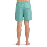 Dakine Mens Cruiser Boardshort Horizon Blue - Image 4