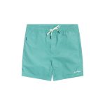 Dakine Mens Cruiser Boardshort Horizon Blue