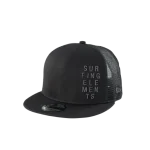 ION Cap Statement