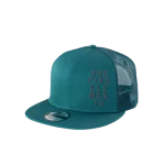 ION Cap Statement - Image 2