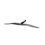 Duotone Wing Set Blitz D/LAB - Image 2